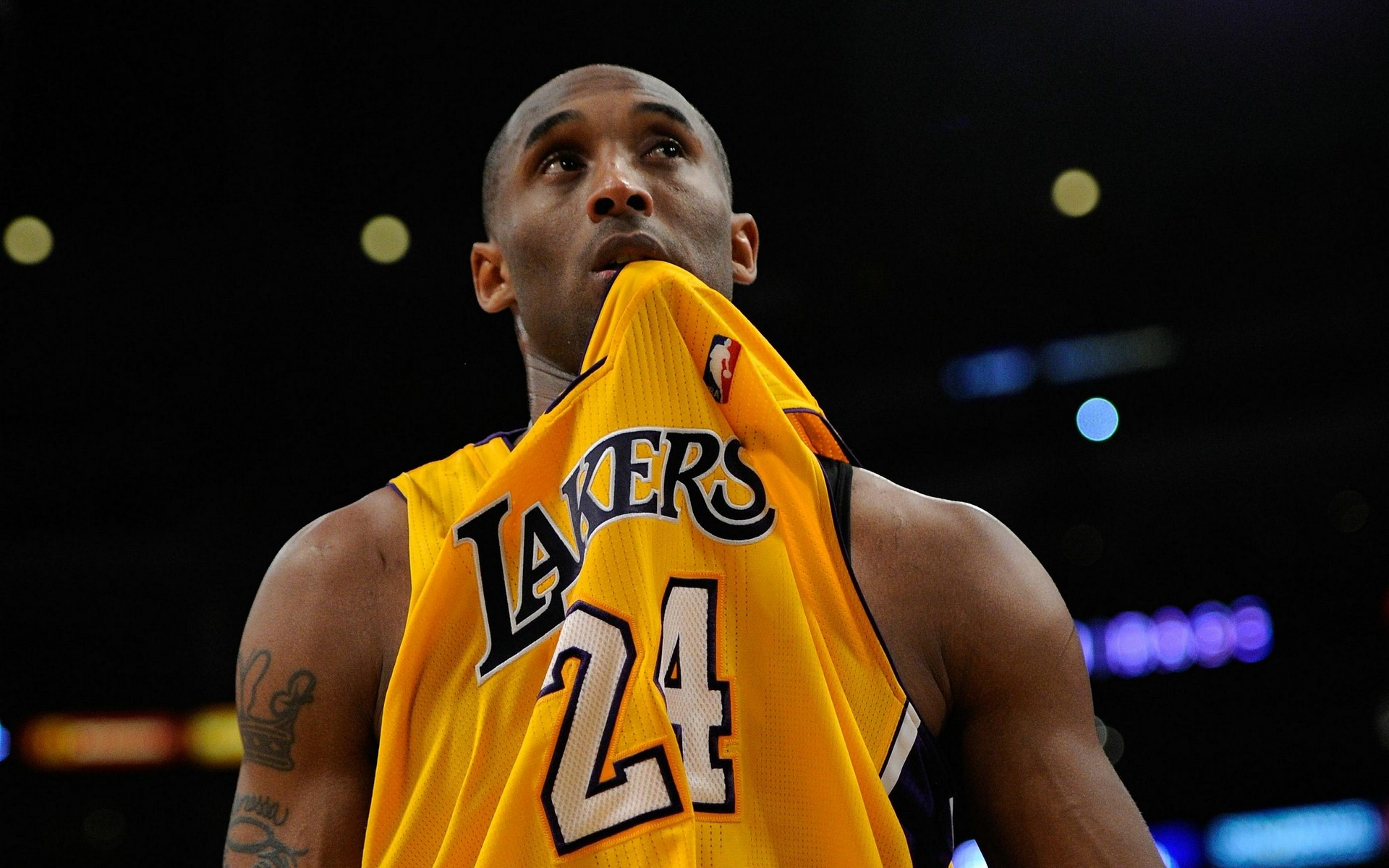 哈利伯顿的 哈利伯顿的